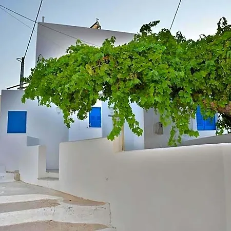 Anatoli